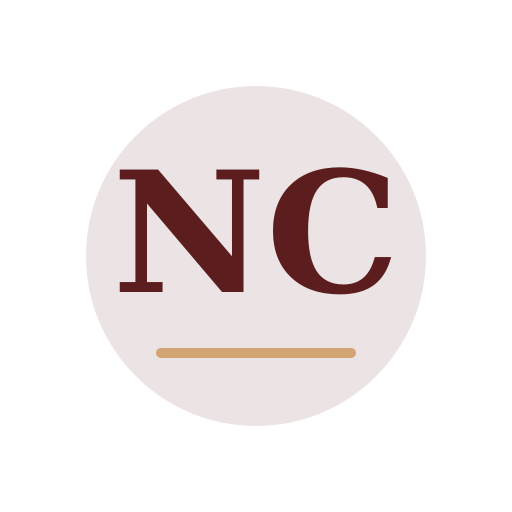 Ninok Chimney Repair logo